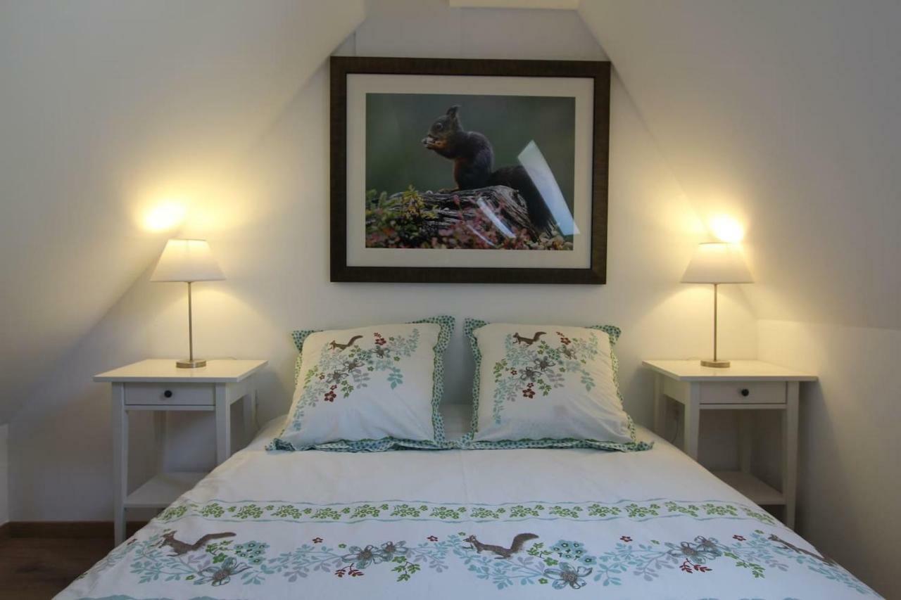 Chambre Chez L'Habitant - L Ecureuil - Coeur De Riquewihr - 2 Personnes Ngoại thất bức ảnh